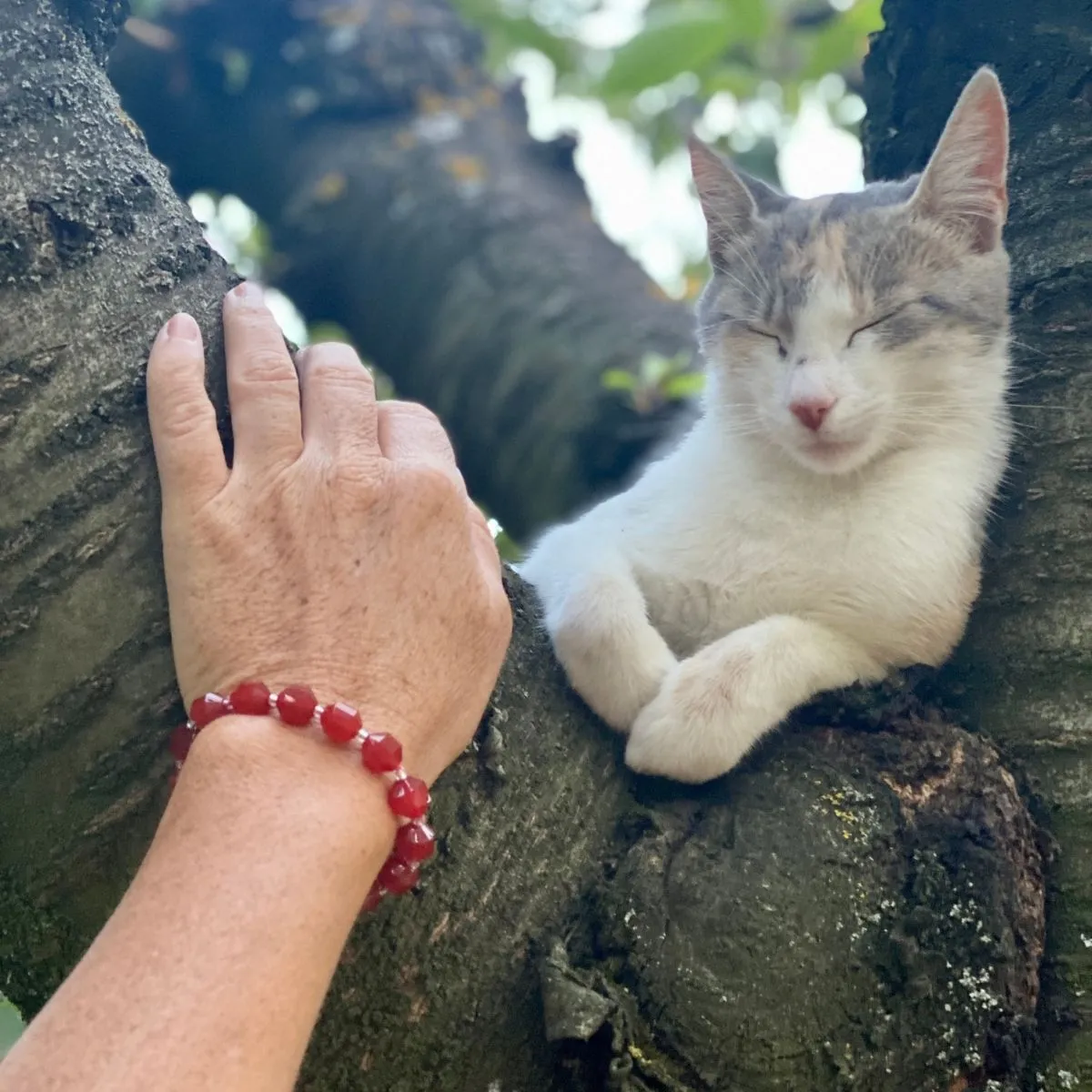 Healing Tube Carnelian Bracelet for Self-Esteem. Best crystal for self esteem