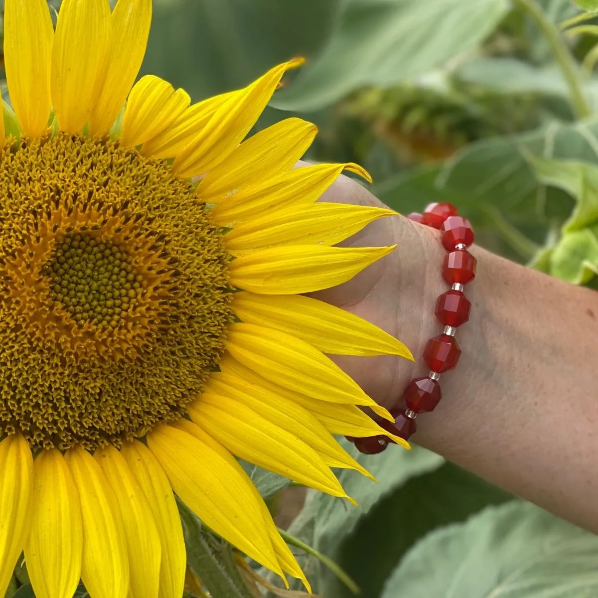 Healing Tube Carnelian Bracelet for Self-Esteem. Best crystal for self esteem