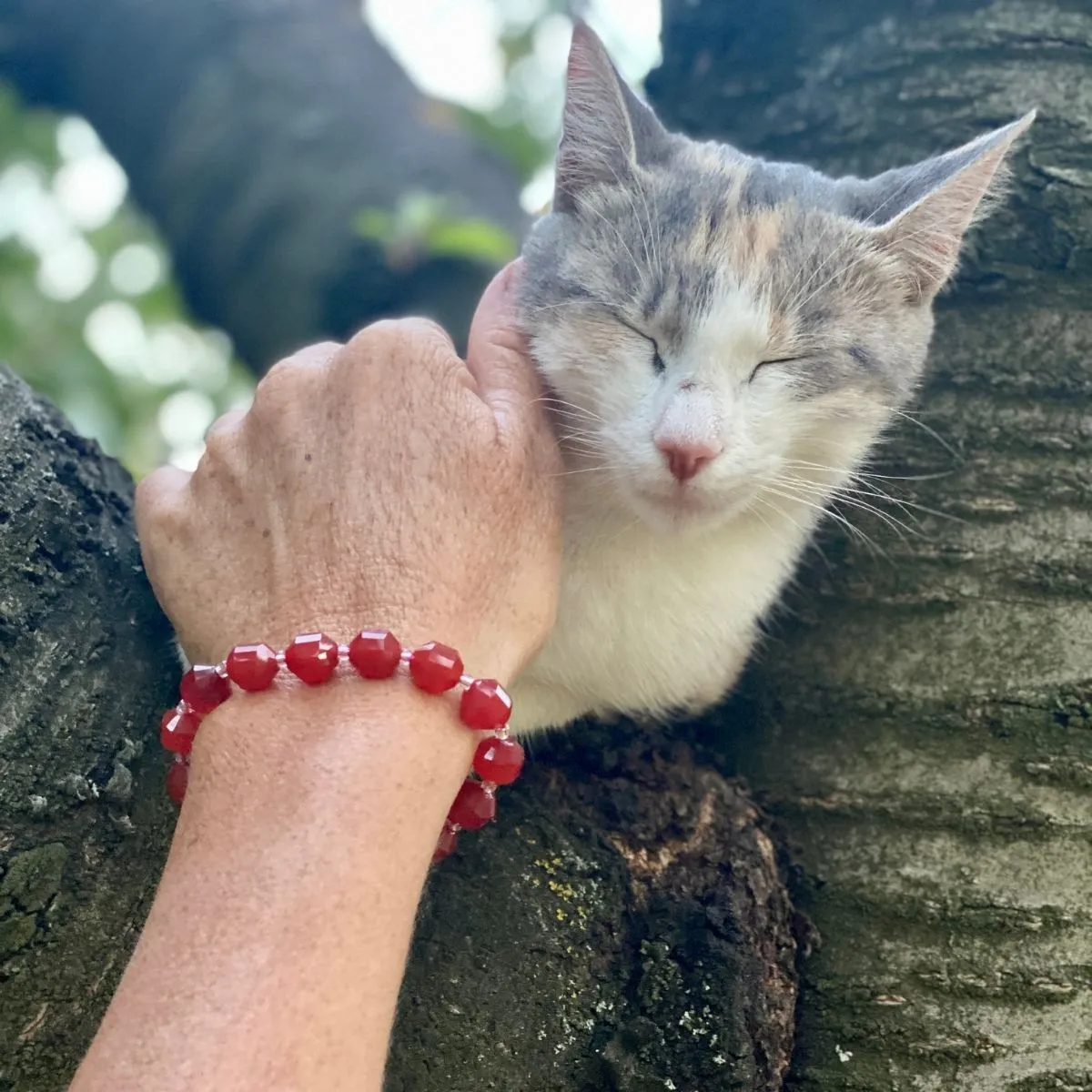 Healing Tube Carnelian Bracelet for Self-Esteem. Best crystal for self esteem